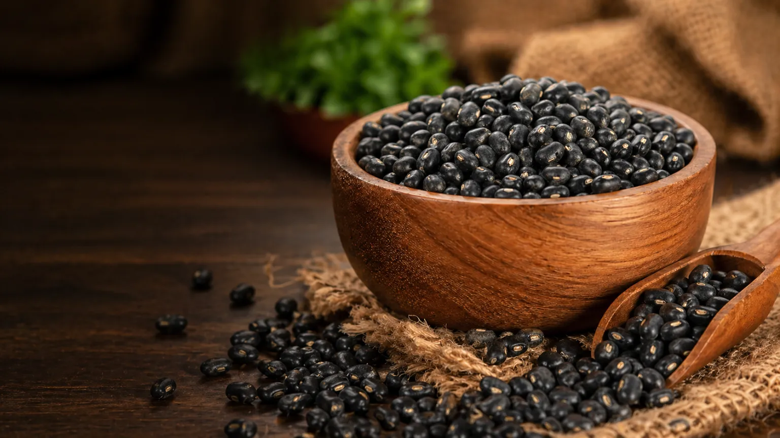 Black Gram (Urad Dal): Nutrition, Calories, Benefits & Uses