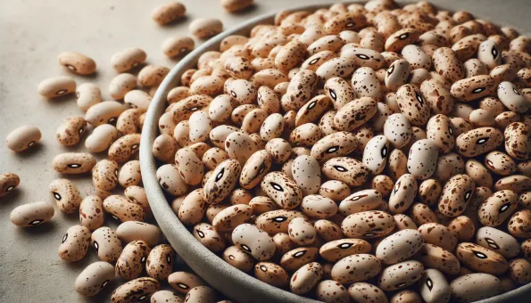 Haricots pinto: riches en protéines et bons pour la digestion