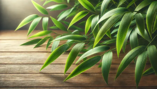 Bambusblätter: natürliche Quelle von Antioxidantien